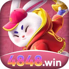 4848win Official v2.8.7